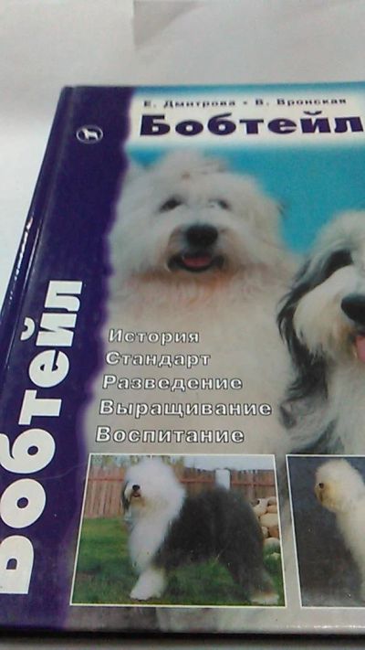 Лот: 9983883. Фото: 1. Книга. Бобтейл. Е. Дмитрова, В... Домашние животные