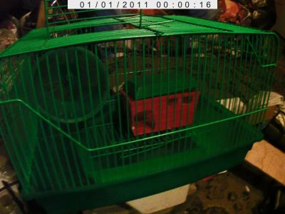 Лот: 9676831. Фото: 1. Клетка джунгарик. Домики, переноски, клетки, когтеточки
