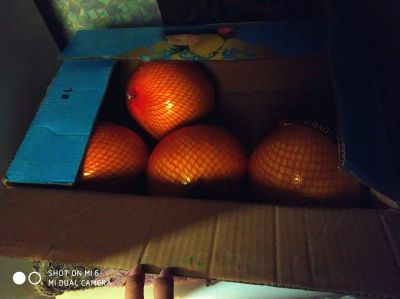 Лот: 12886366. Фото: 1. Помело. Овощи, фрукты, зелень