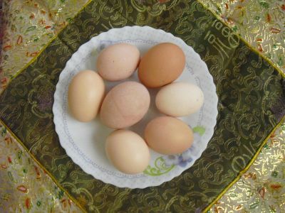 Лот: 7463021. Фото: 1. Домашние яйца. Мясо, птица, яйцо
