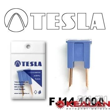 Лот: 8599346. Фото: 1. TESLA FJ14 100A предохранитель... Расходные материалы