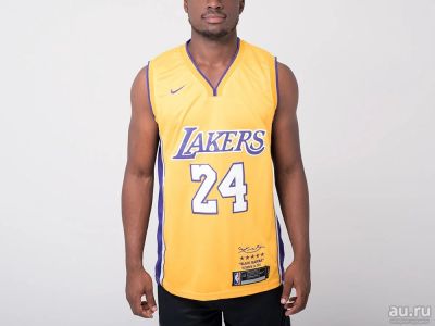 Лот: 16331339. Фото: 1. Джерси Nike Los Angeles Lakers... Свитеры, толстовки