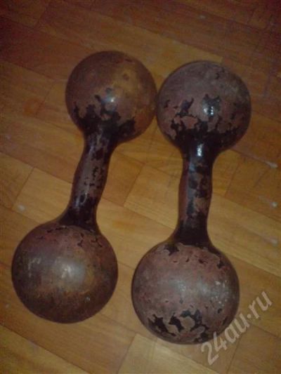 Лот: 537309. Фото: 1. Гантели (пара по 12 кг). Штанги, блины