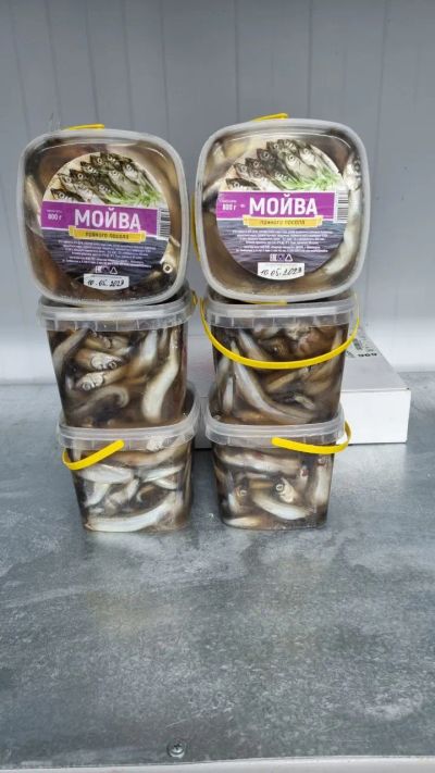 Лот: 20771812. Фото: 1. Мойва п/п 0,800. Икра, рыба, морепродукты
