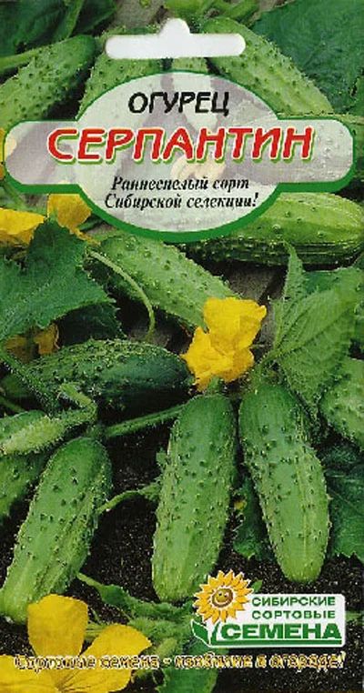 Лот: 7881524. Фото: 1. Огурец Серпантин. Овощи