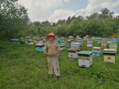 Лот: 13802421. Фото: 1. Мед. Мёд, продукты пчеловодства