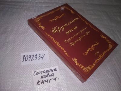 Лот: 24574814. Фото: 1. oz меш. (3092334)Труженики тыла... История