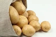 Лот: 4534466. Фото: 1. картошка деревенская(красная и... Картофель