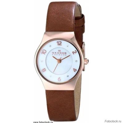 Лот: 21240829. Фото: 1. Наручные часы Skagen SKW2210. Оригинальные наручные часы