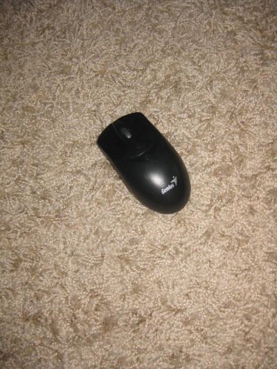 Лот: 3100143. Фото: 1. Мышь беспроводная. Другое (аксессуары)