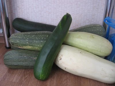 Лот: 4455859. Фото: 1. Кабачки с грядки Вкусные (цена... Овощи, фрукты, зелень
