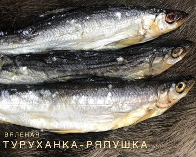 Лот: 15229974. Фото: 1. Вяленая Ряпушка потр. Икра, рыба, морепродукты