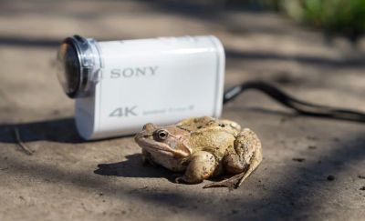 Лот: 10544631. Фото: 1. Sony Action Cam X1000 -- 4K убийца... Экшн камеры