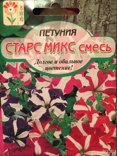 Лот: 13383176. Фото: 1. Рассада петунии. Садовые цветы