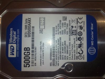 Лот: 5172728. Фото: 1. Western Digital WD5000AAKX 3.5. Жёсткие диски (HDD)
