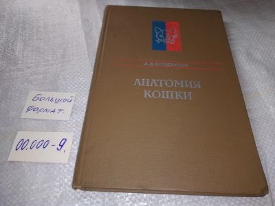 Лот: 19357601. Фото: 1. Ноздрачев А.Д. Анатомия кошки... Домашние животные