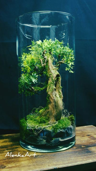 Лот: 25257064. Фото: 1. Искусственный бонсай. Искусственные и сувенирные цветы