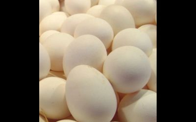 Лот: 7093222. Фото: 1. яйцо деревенское. Мясо, птица, яйцо