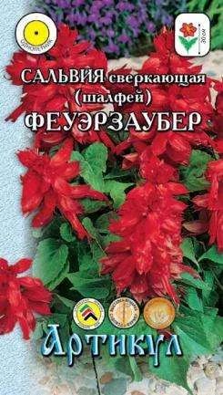 Лот: 11025454. Фото: 1. Сальвия сверкающая Феуэрзаубер... Садовые цветы