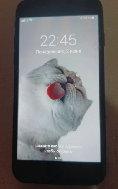 Лот: 25414789. Фото: 1. iPhone 7. Смартфоны
