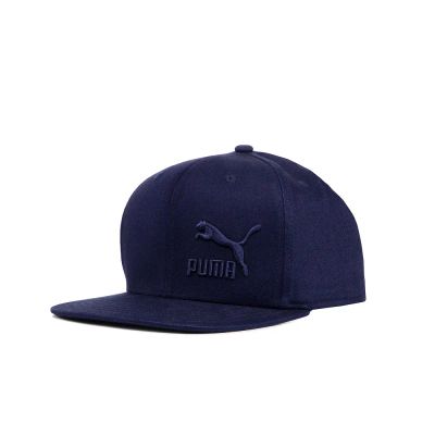 Лот: 22805924. Фото: 1. Кепка PUMA LS ColourBlock Cap. Другое (аксессуары)