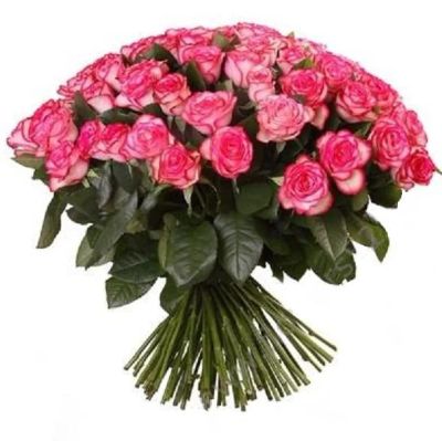 Лот: 8171720. Фото: 1. Букет из 15 Эквадорских роз! Восхитительно... Свежие цветы