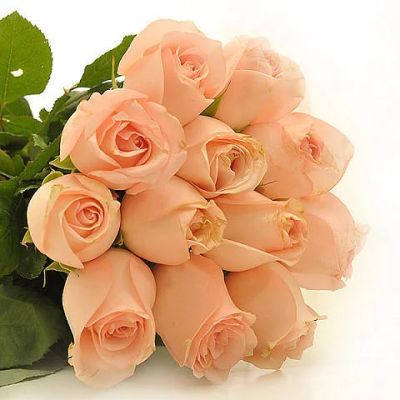 Лот: 3502355. Фото: 1. 15 красивых роз, всего за 1800... Свежие цветы