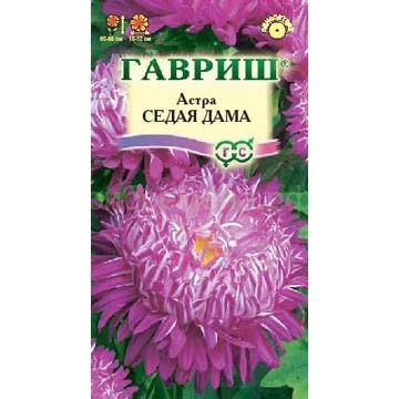Лот: 3706627. Фото: 1. Астра Седая дама (семена). Другое (семена, рассада, садовые растения)