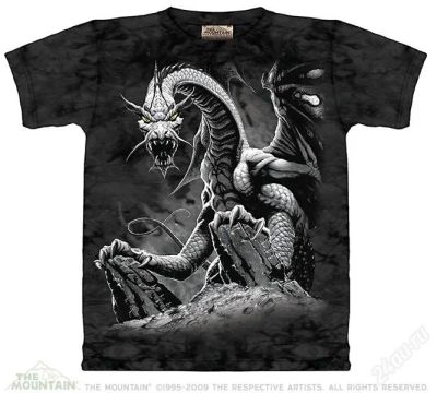 Лот: 2841877. Фото: 1. Футболка "Black Dragon" (США). Футболки, поло