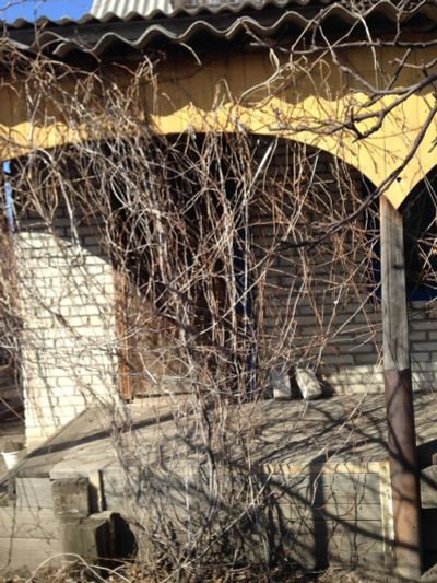 Лот: 15792205. Фото: 1. дачный участок. Дачи