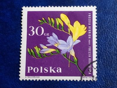 Лот: 25898828. Фото: 1. Марки Флоры и Фауны. лот №-94062. Марки
