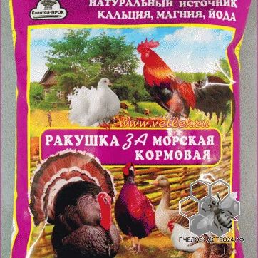 Лот: 17283973. Фото: 1. Ракушка морская, кормовая для... Другое (животные и уход)