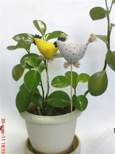 Лот: 868434. Фото: 1. Курочки на палочках. Другое (ручная работа)