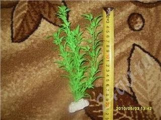 Лот: 343119. Фото: 1. водоросль искуственная 20 см... Водные растения