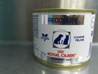 Лот: 12847565. Фото: 1. Корм ROYAL CANIN Консервы для... Корма