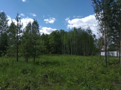 Лот: 16441873. Фото: 1. Земельный участок 16 соток в районе... Земельные участки