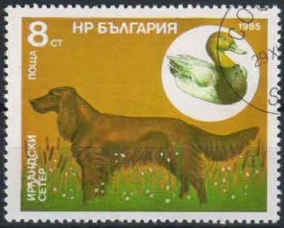 Лот: 21453404. Фото: 1. 1985. Болгария. Охотничьи собаки... Марки