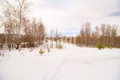 Лот: 25294810. Фото: 1. участок , ДНТ Чёрная Сопка ДНТ... Земельные участки