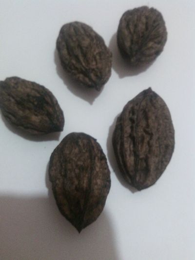 Лот: 17240699. Фото: 1. Семена Сибирского грецкого ореха... Ягоды