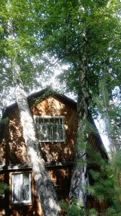 Лот: 12957095. Фото: 1. Дачный участок. Дачи