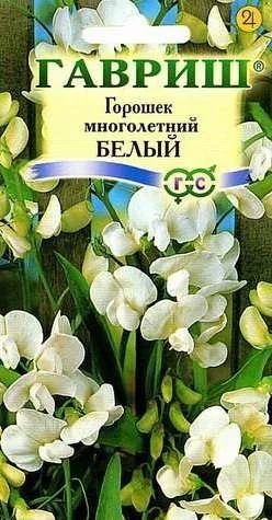 Лот: 11024340. Фото: 1. Горошек многолетний Белый 0,5... Садовые цветы