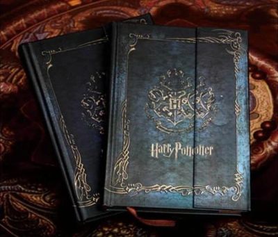 Лот: 9214274. Фото: 1. Дневник Записная Книга Гарри Поттер... Другое (литература, книги)