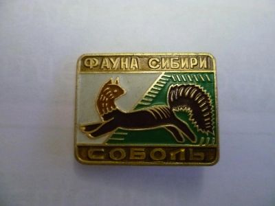 Лот: 4018184. Фото: 1. фауна Сибири соболь. Другое (значки, медали, жетоны)