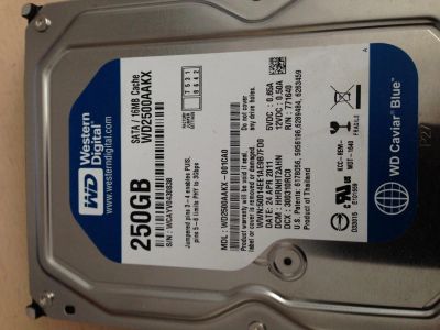 Лот: 5187268. Фото: 1. Жесткий диск WD 250Gb SATA. Жёсткие диски (HDD)