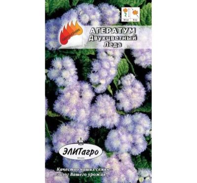 Лот: 11024134. Фото: 1. Агератум Леда двуцветный 0,05гр... Садовые цветы