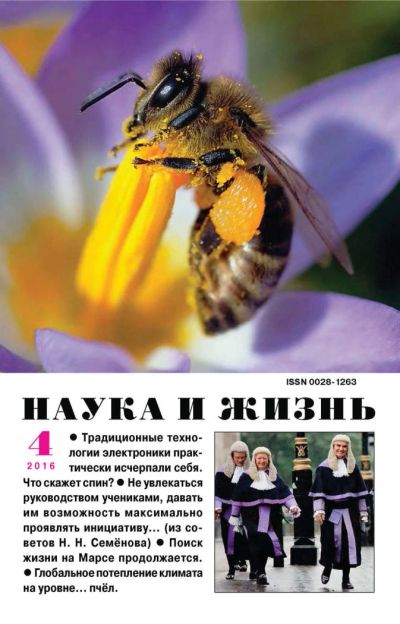 Лот: 10812138. Фото: 1. Научно-популярный журнал «Наука... Наука и техника