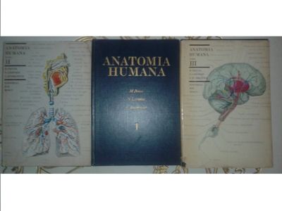 Лот: 11856394. Фото: 1. Анатомия человека (Anatomia humana... Традиционная медицина