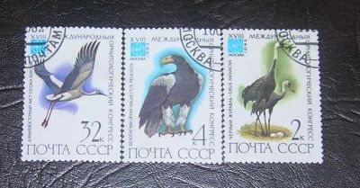 Лот: 3700787. Фото: 1. марки ссср 1982г птицы. Марки