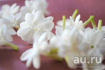 Лот: 12805693. Фото: 1. Отдушка "Орхидея и жасмин". Ингредиенты для мыловарения, основа