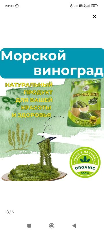 Лот: 25510452. Фото: 1. Морской виноград. Японская кухня
